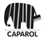 caparol-logo-black-1-1-1-1.png